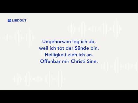 Instrumental-Version