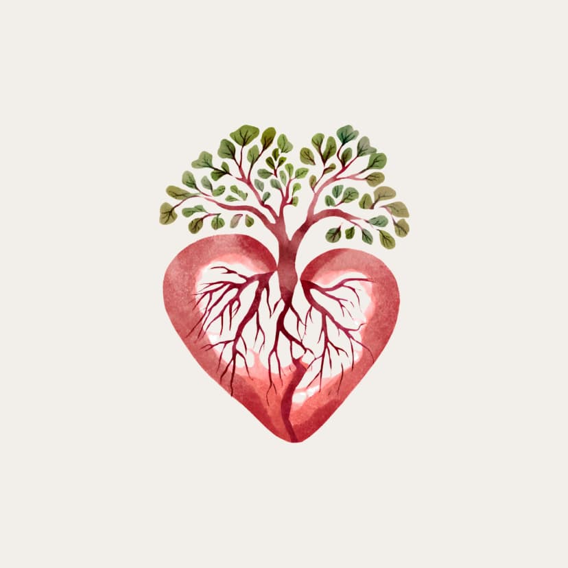 Cover für Ungeteilt