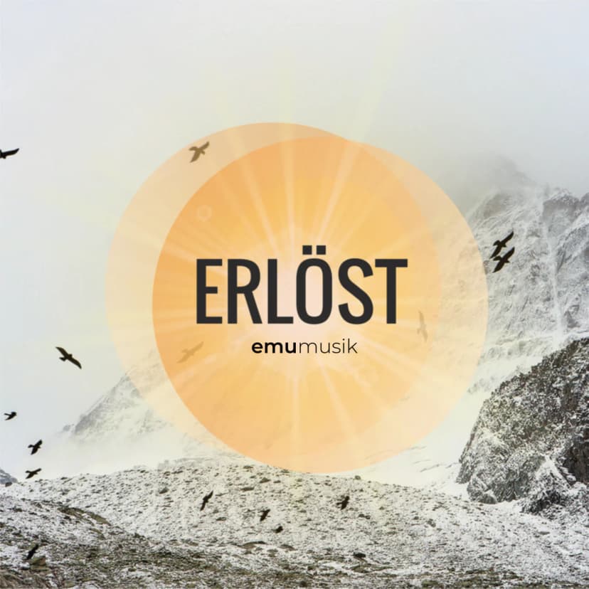 Cover für Schau auf den Herrn