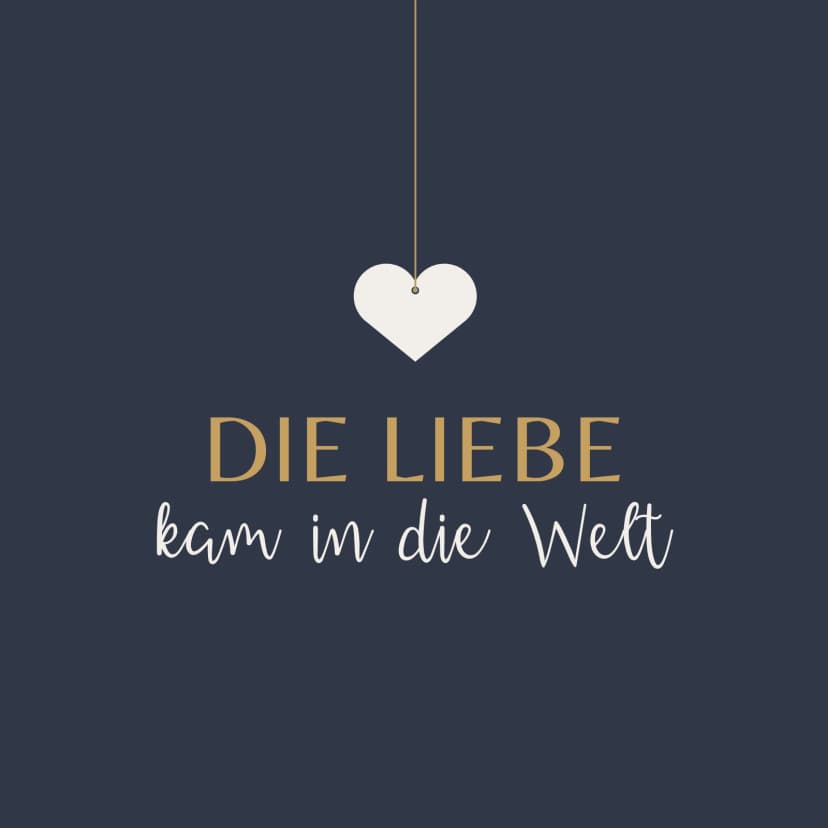 Cover für Die Liebe kam in die Welt